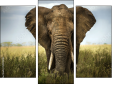 Triptychon