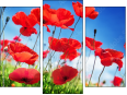 Triptychon