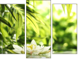 Triptychon