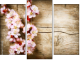 Triptychon