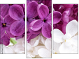 Triptychon