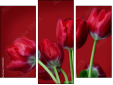 Triptychon