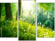 Triptychon