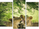 Triptychon
