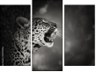 Triptychon