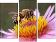 Triptychon
