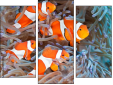 Triptychon