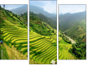 Triptychon