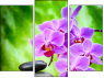 Triptychon