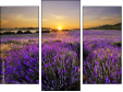 Triptychon
