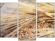 Triptychon