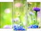 Triptychon
