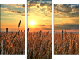 Triptychon