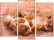 Triptychon