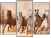 Triptychon