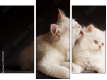 Triptychon