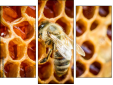 Triptychon