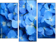 Triptychon