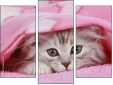 Triptychon