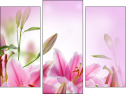 Triptychon