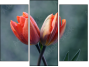 Triptychon
