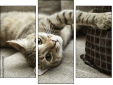 Triptychon
