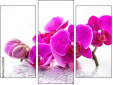 Triptychon