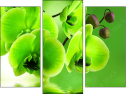 Triptychon