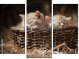 Triptychon