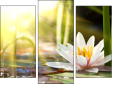 Triptychon