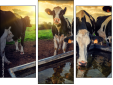 Triptychon