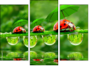 Triptychon