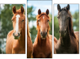 Triptychon