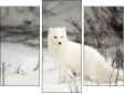Triptychon