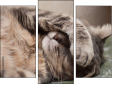 Triptychon