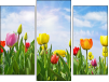 Triptychon