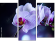 Triptychon