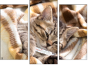 Triptychon