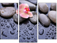 Triptychon