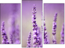 Triptychon