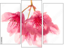 Triptychon