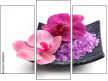 Triptychon