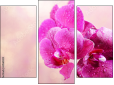 Triptychon