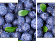 Triptychon