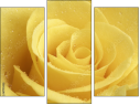 Triptychon