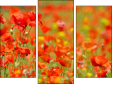 Triptychon