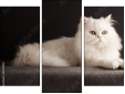 Triptychon