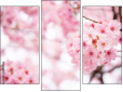 Triptychon