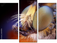 Triptychon