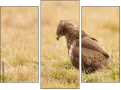 Triptychon